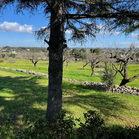 Trulli Domimi'2024 * Martina Franca