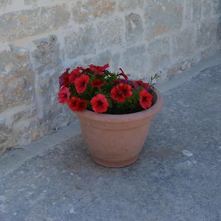 Appartamento Trulli Domimi'2024 *