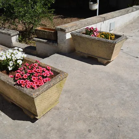 Trulli Domimi'2024 * מרטינה פרנקה