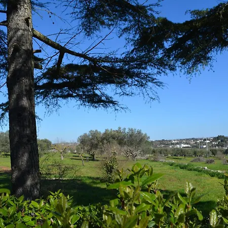 Appartamento Trulli Domimi'2024 Martina Franca