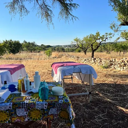 Appartamento Trulli Domimi'2024