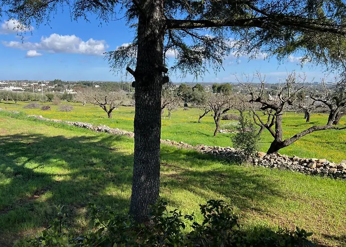 Trulli Domimi'2024 * マルティナ・フランカ