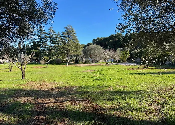 Trulli Domimi'2024 * マルティナ・フランカ