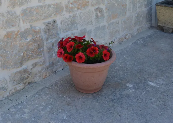 아파트 Trulli Domimi'2024 *