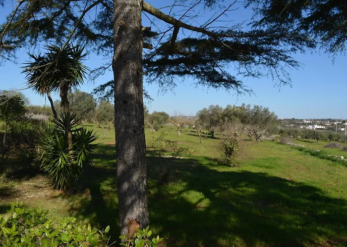 Trulli Domimi'2024 *