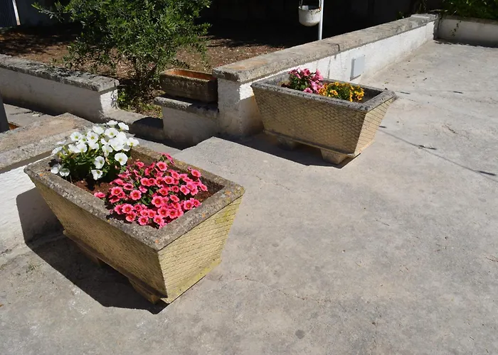 Trulli Domimi'2024 * 마르티나프란카