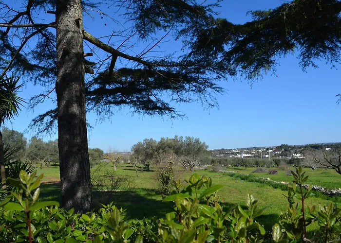 アパート Trulli Domimi'2024 マルティナ・フランカ